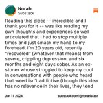 Thumbnail of Norah on Substack