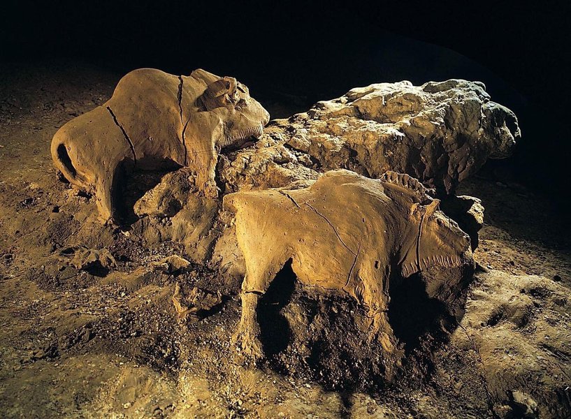 Preview of bison-jpeg