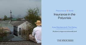 Thumbnail of Insurance in the Polycrisis | Kate Mackenzie & Tim Sahay