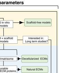 Thumbnail of PubMed Central Image Viewer.
