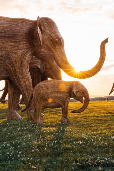 Thumbnail of 100 Life-Sized Elephants Lumber Along a Newport Cliff in a Global ...