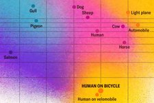 Thumbnail of The Most Efficient Traveler Isn’t a Bird or a Fish—It’s You on a Bike