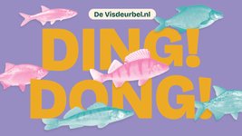 Thumbnail of The Fish Doorbell — The Fish Doorbell