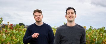Thumbnail of Mulline Wines