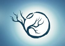 Thumbnail of The liminal unknown