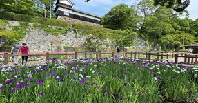 Thumbnail of 高校生の鋭利な言葉たち｜鳥羽和久