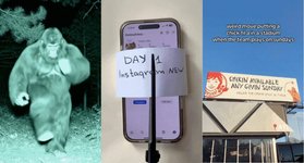 Thumbnail of is brain-rot TikTok cringe yet? the crab who started it says 'almost'