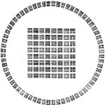 Thumbnail of The Origin of The Shadow — Jung Centre