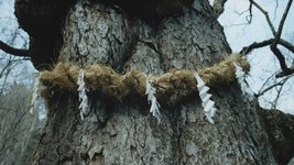 Thumbnail of Why the World Needs Spiritual Ecology | Atmos