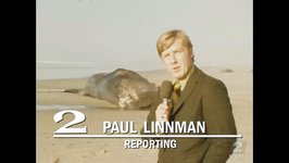 Thumbnail of The Exploding Whale