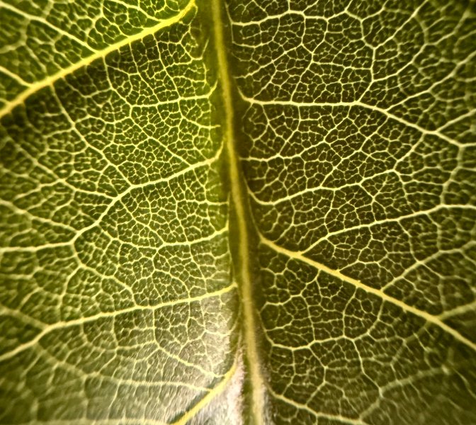 Preview of cea90fe96a33-jpeg