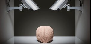 Thumbnail of Brain monitoring may be the future of work – how it’s used could improve employee performance or worsen discrimination