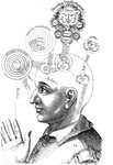 Thumbnail of Consciousness - Wikipedia