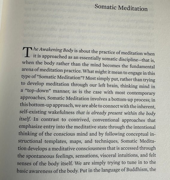 Preview of name-large-7b79