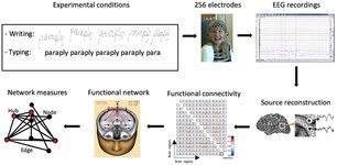 Thumbnail of Frontiers | Handwriting but not typewriting leads to widespread brain connectivity: a high-density EEG study with implications for the classroom