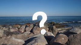 Thumbnail of 5 Questions to Help Your Team Make Better Decisions