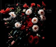 Thumbnail of A New Creative Intelligence