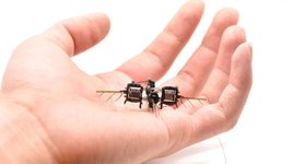 Thumbnail of MIT’s robot bees break pollination records with 1,000-second hover, flips and more