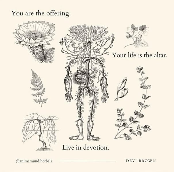 Thumbnail of Image