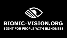 Thumbnail of bionic-vision.org | Companies