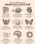Thumbnail of Found on Cosmos