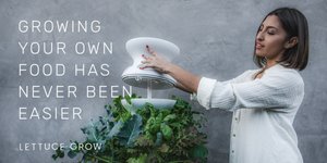 Thumbnail of Lettuce Grow - Farmstand and Seedlings