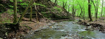Thumbnail of High Tor Wildlife Area