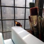 Thumbnail of Jen Orpin Paintings – Manchester based artist
