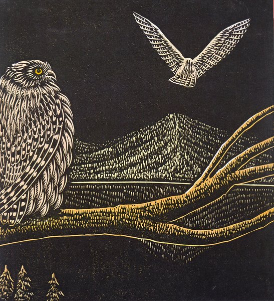 Thumbnail of Owl Lake: A Vintage Treasure from Japanese Artist Keizaburo Tejima