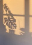 Thumbnail of Jonas Chan