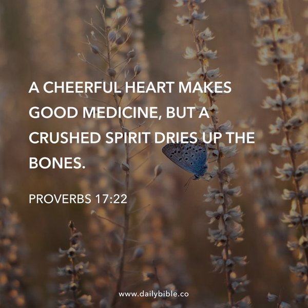 Preview of b645de3472a5-jpg