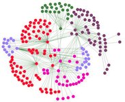 Thumbnail of Cooperation emerges when groups are small and memories are long, study finds