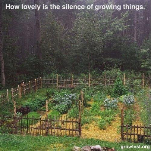 Thumbnail of 5c97dc7e-107b-4ef8-b136-a21feff2e97f.png | Are.na