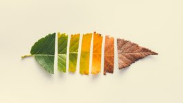Thumbnail of How Will You Measure Your Life?
