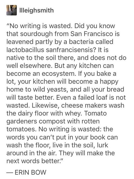 Preview of scaled-81