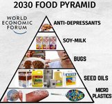 Thumbnail of Cereal For The Peasants? How The Elites Use “Skimpflation” To Control Our Eating Habits - Prepare For Change