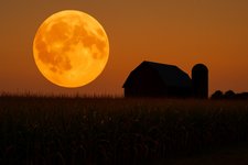 Thumbnail of The Glow of the Corn Moon: September 7, 2025 Full Moon