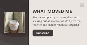 Thumbnail of WHAT MOVED ME | Amanda Norgaard | Substack