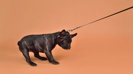 Thumbnail of Most Employees Don’t Trust Their Leaders. Here’s What to Do About It.