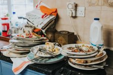 Thumbnail of everybody wants to do ayahuasca but nobody wants to do the dishes