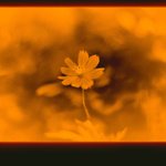 Thumbnail of Calm technology