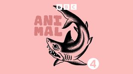 Thumbnail of Animal - Jaws - BBC Sounds