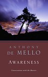 Cover of Awareness: Conversations with the Masters