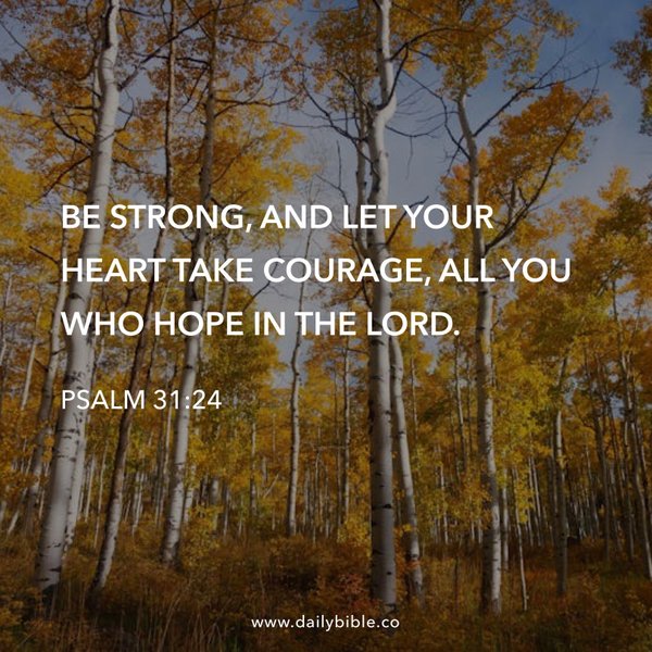 Preview of e8234483405a-jpg