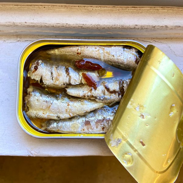 Thumbnail of SARDINE - Google Search
