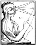 Thumbnail of Dualismo mente-corpo – Wikipédia, a enciclopédia livre