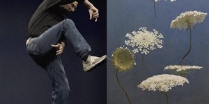 Thumbnail of good artists copy, great artists steal