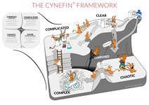 Thumbnail of Cynefin® - um pouco sobre minha jornada e um convite