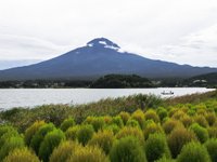 Thumbnail of The Complete Kawaguchiko and Mount Fuji Travel Guide | Japan | The Partying Traveler