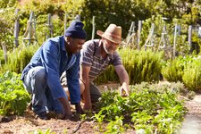 Thumbnail of How Rural Communities Are Embracing Immigrants and Thriving as a Result